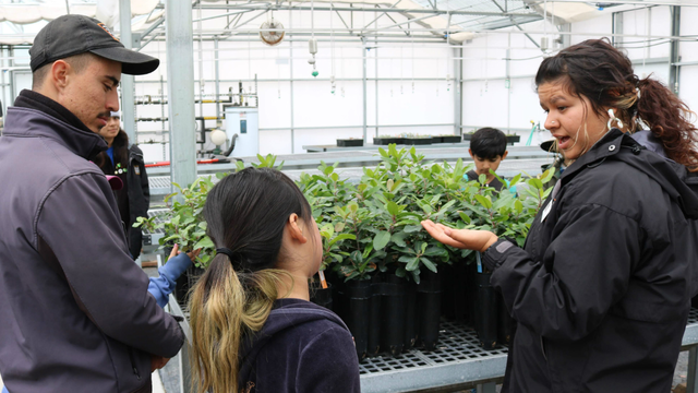 A Nurseries Education Intern engages with youth during a summer camp program