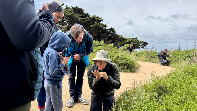Community Scientists in the field observing insects.