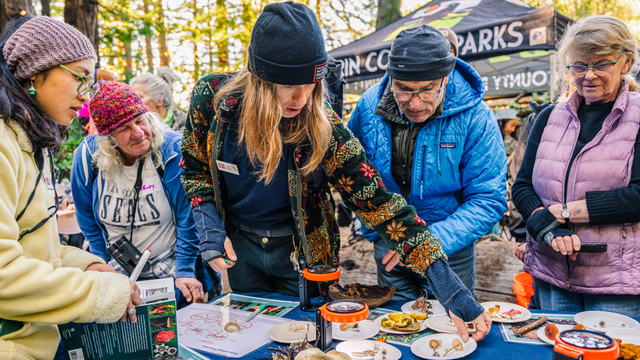 A group of BioBlitz community science event participants with the parks conservancy, one tam, and marin county parks, gathered around a table to study various fungi, mushrooms, lichen.