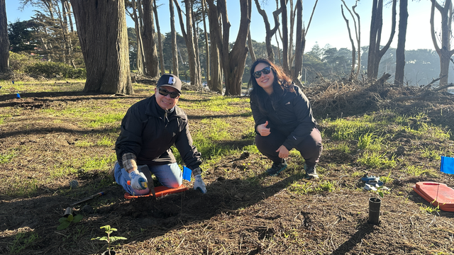 Volunteers planting at Lands End