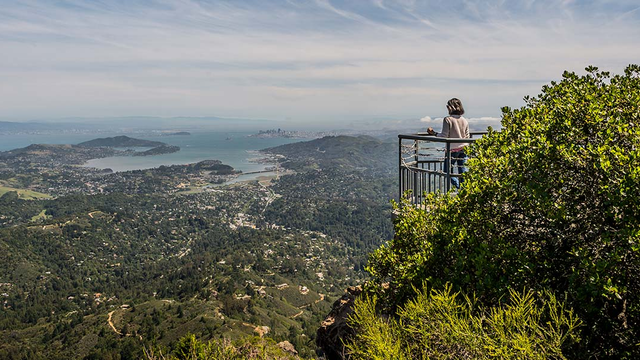 View of Mt. Tamalpais