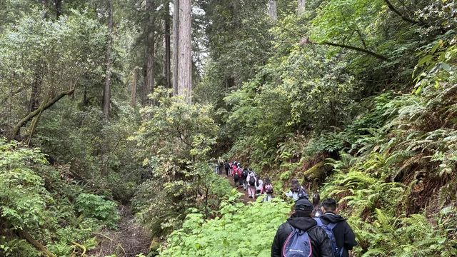 Students visit Samuel P Taylor State Park 
