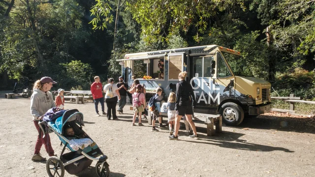 Visitors Interacting with Tam Van at Muir Woods National Monument 