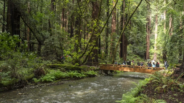 group of people crossing a wooden bridge over a creek at Muir Woods
