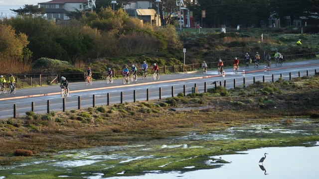View of the Crissy marsh with a Great Blue Heron and the bike path full of cyclists, walkers, and runners.