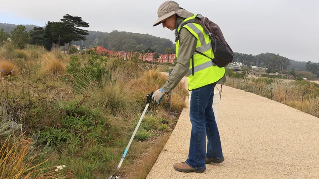 A volunteer picks up litter at Presidio Tunnel Tops