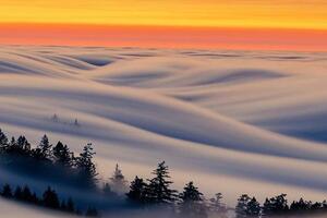 Fog rolling over forest at Mount Tamalpais