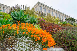 alcatraz gardens