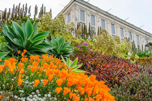 alcatraz gardens