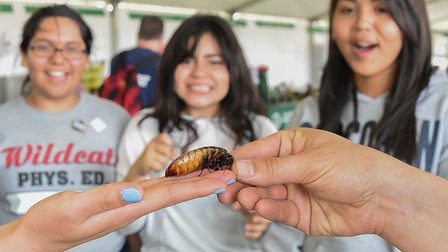 youth biodiversity education