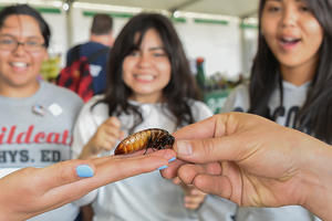 youth biodiversity education