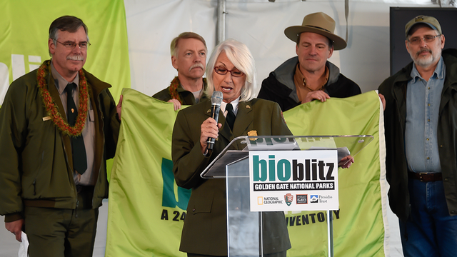 BioBlitz 2014