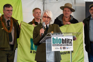 BioBlitz 2014