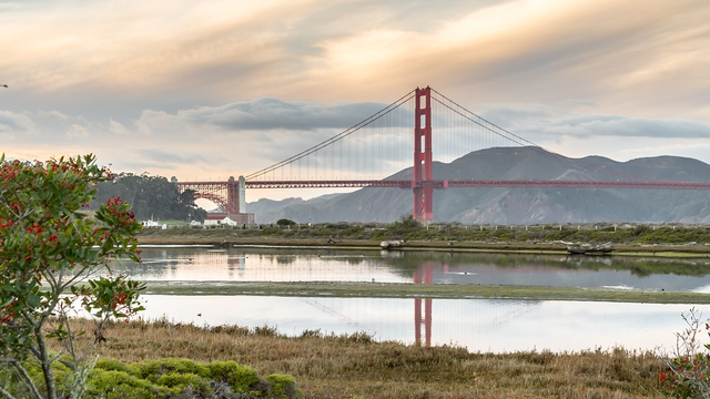 Crissy Field marsh