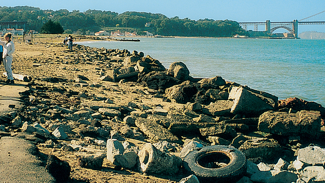 Crissy Field shoreline in 1997, before restoration