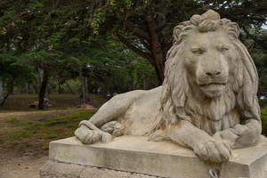 Lion statue at Sutro Heights Park