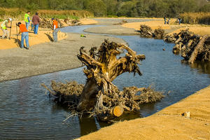 Redwood Creek restoration. 