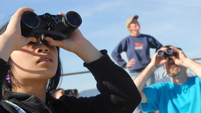 person with binoculars