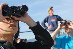 person with binoculars