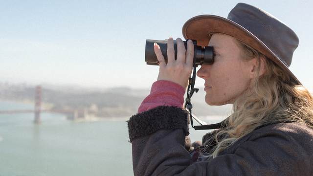 Searching for migrating hawks