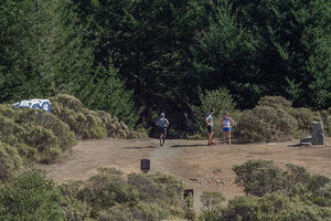 Dipsea Trail (Mount Tamalpais)