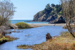 Redwood Creek at Muir Beach