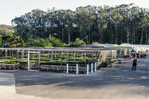 Presidio Native Plant Nursery