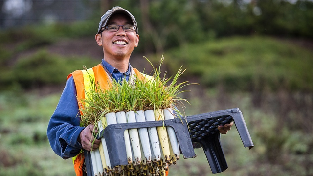 Volunteer at the Presidio