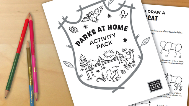 Colored pencils next to a piece of paper titled "Parks at Home: Activity Pack"