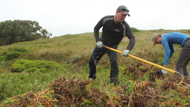 volunteers restore natural habitat using tools