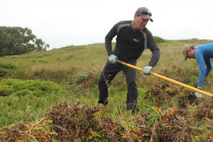 volunteers restore natural habitat using tools