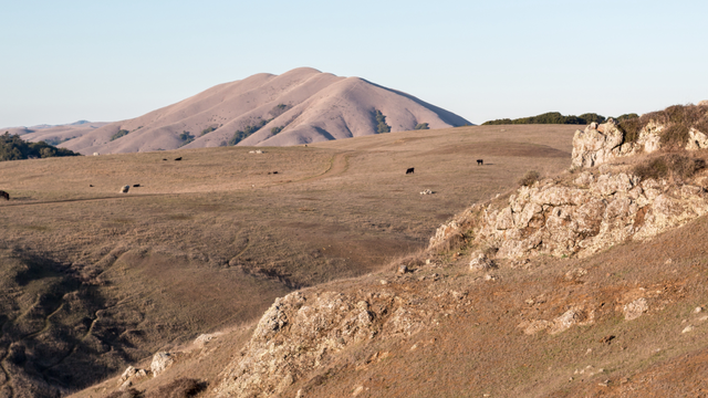 Bolinas Ridge 