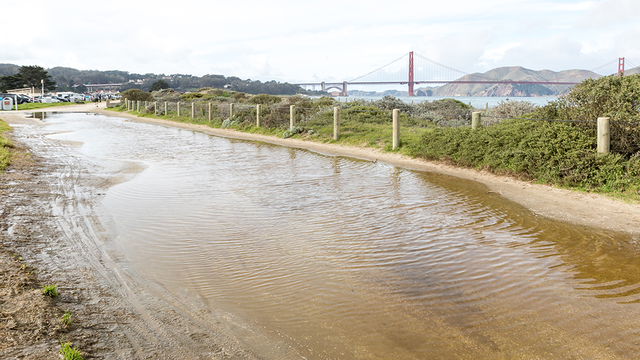 Water pooling on path along East Beach near Crissy Field Center
