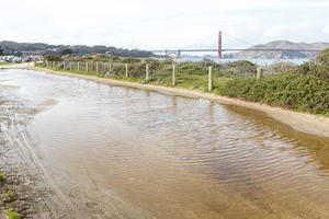 Water pooling on path along East Beach near Crissy Field Center