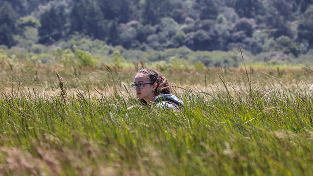 Youth photographers' images from Crissy Field Center programs during the summer of 2018.