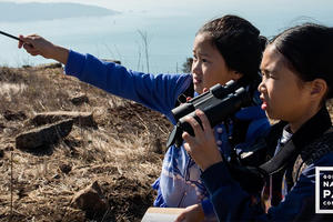 Schoolchildren visiting Hawk Hill