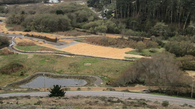 Jute fabric stabilizes soil