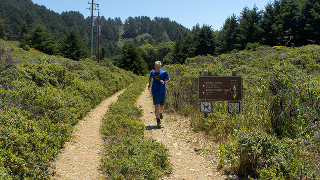 Dipsea trail (Mount Tamalpais)