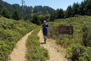 Dipsea trail (Mount Tamalpais)