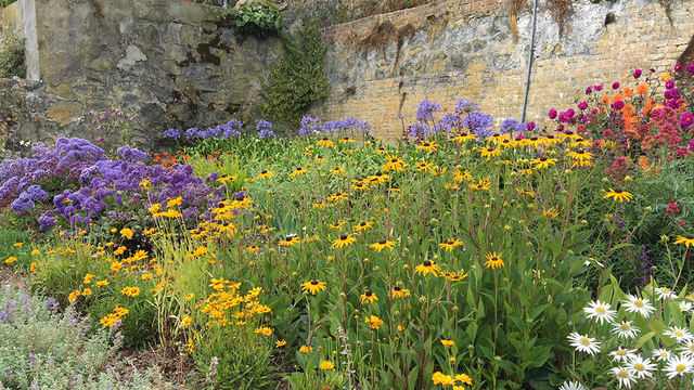 AZ Gardens, Drought Tolerant Gardens Tour
