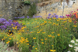 AZ Gardens, Drought Tolerant Gardens Tour