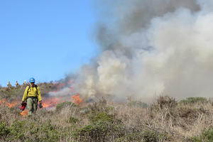 A fireman walks away from a controlled burn.