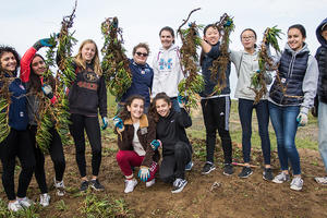 Volunteers at work