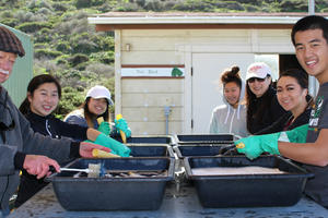 Volunteers wash pots at the Fort Funston Nursery