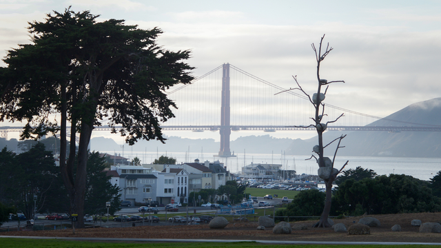 Tree with stones placed on branches with Golden Gate Bridge in background