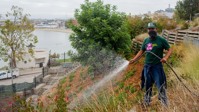 A volunteer waters plants at Black Point Historic Gardens