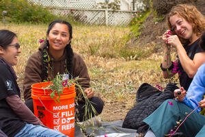 A group of interns identifying various native plant species