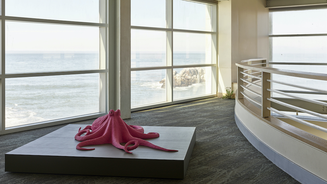 A new art exhibition from the FOR-SITE Foundation, "Lands End." 