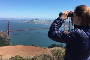 Hawkwatch at Hawk Hill