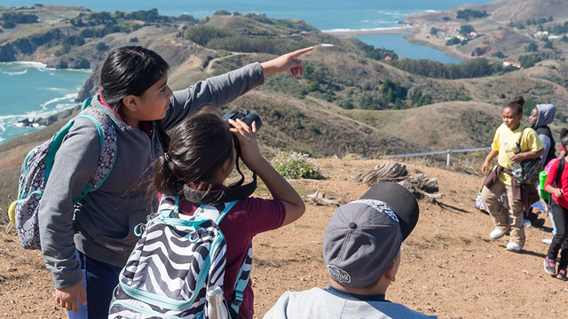 Golden Gate Raptor Program at Hawk Hill